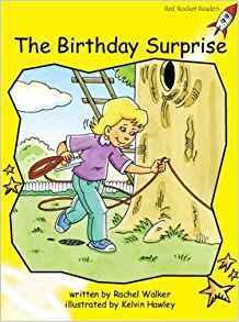 the   birthday    surprise