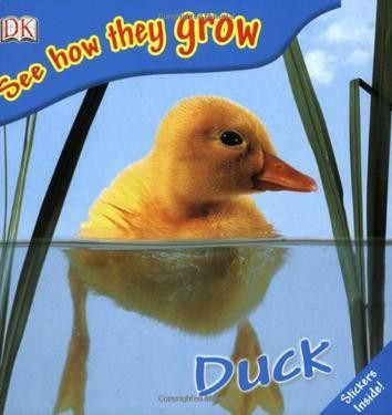 See How They Grow:Duck