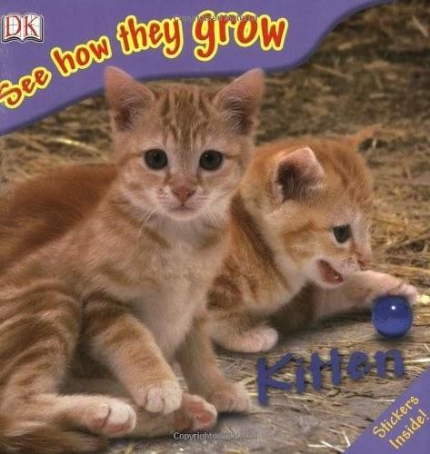 See How They Grow Kitten