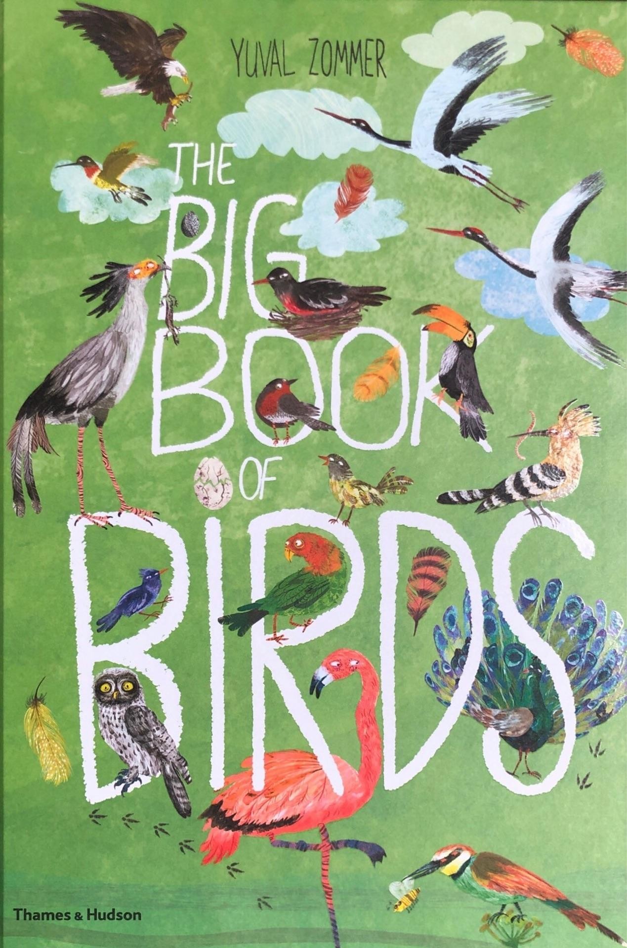 THE BIG BOOK OF BIRDS