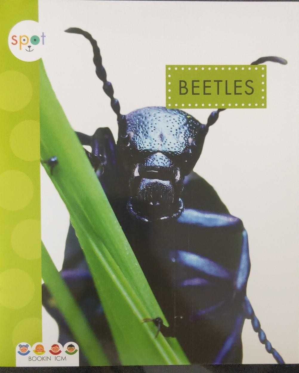 BEETLES