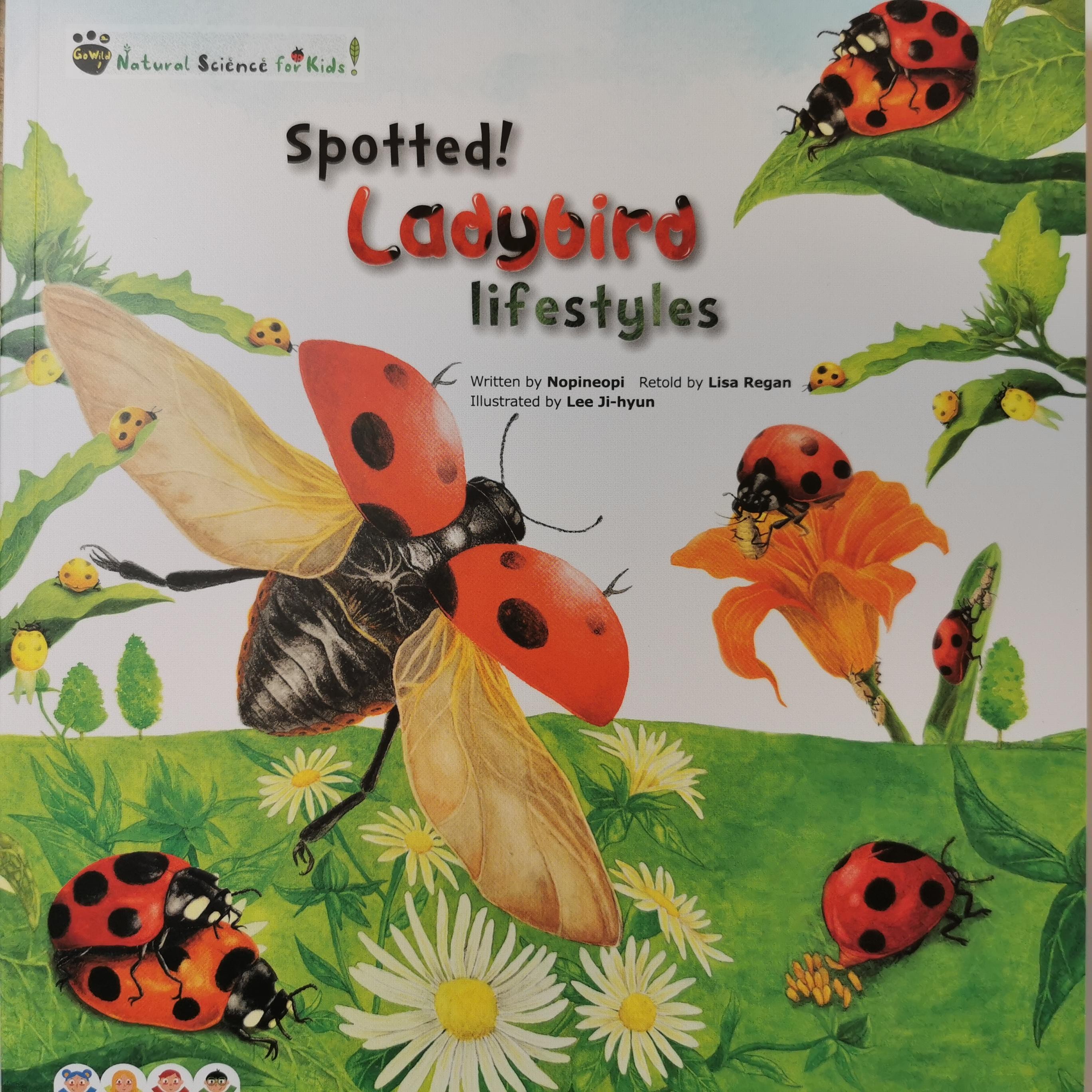 宾果儿童自然科学第一辑 Go wild：Spotted! ladybird lifestyles