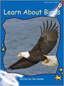 learn   about    birds