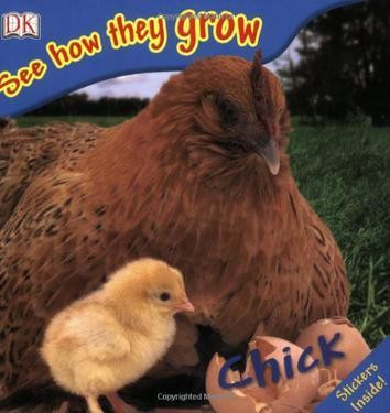 See How They Grow: Chick