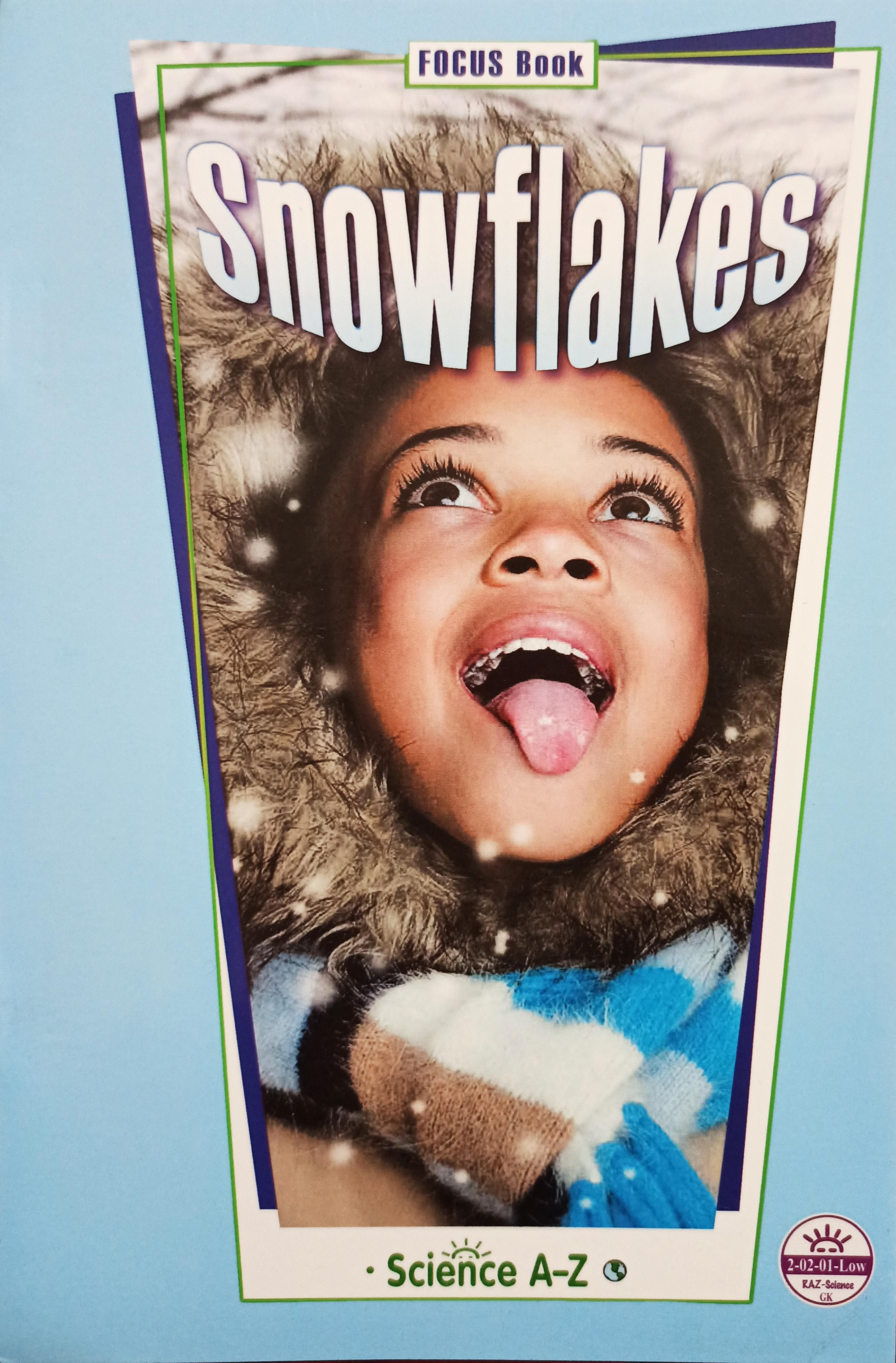 Saz 44 Snowflakes GK low