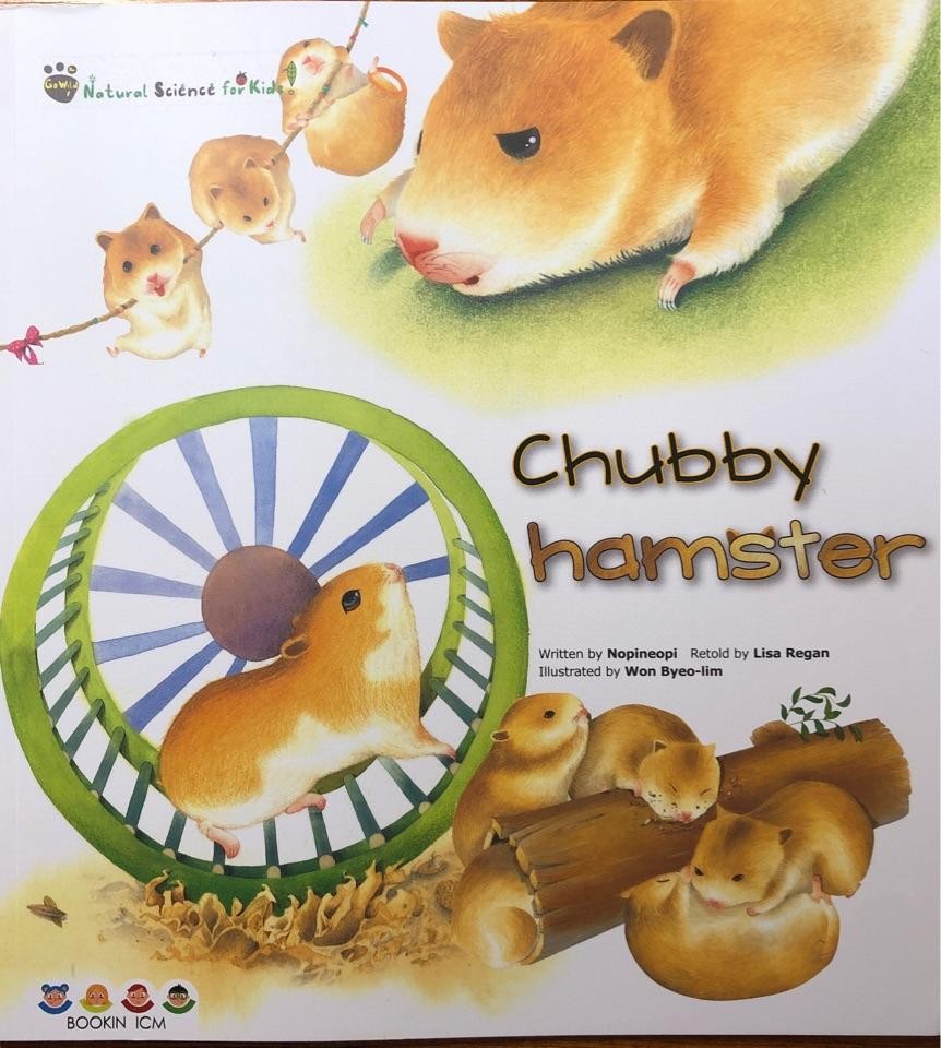 宾果儿童自然科学第二辑 Go wild：All about bears