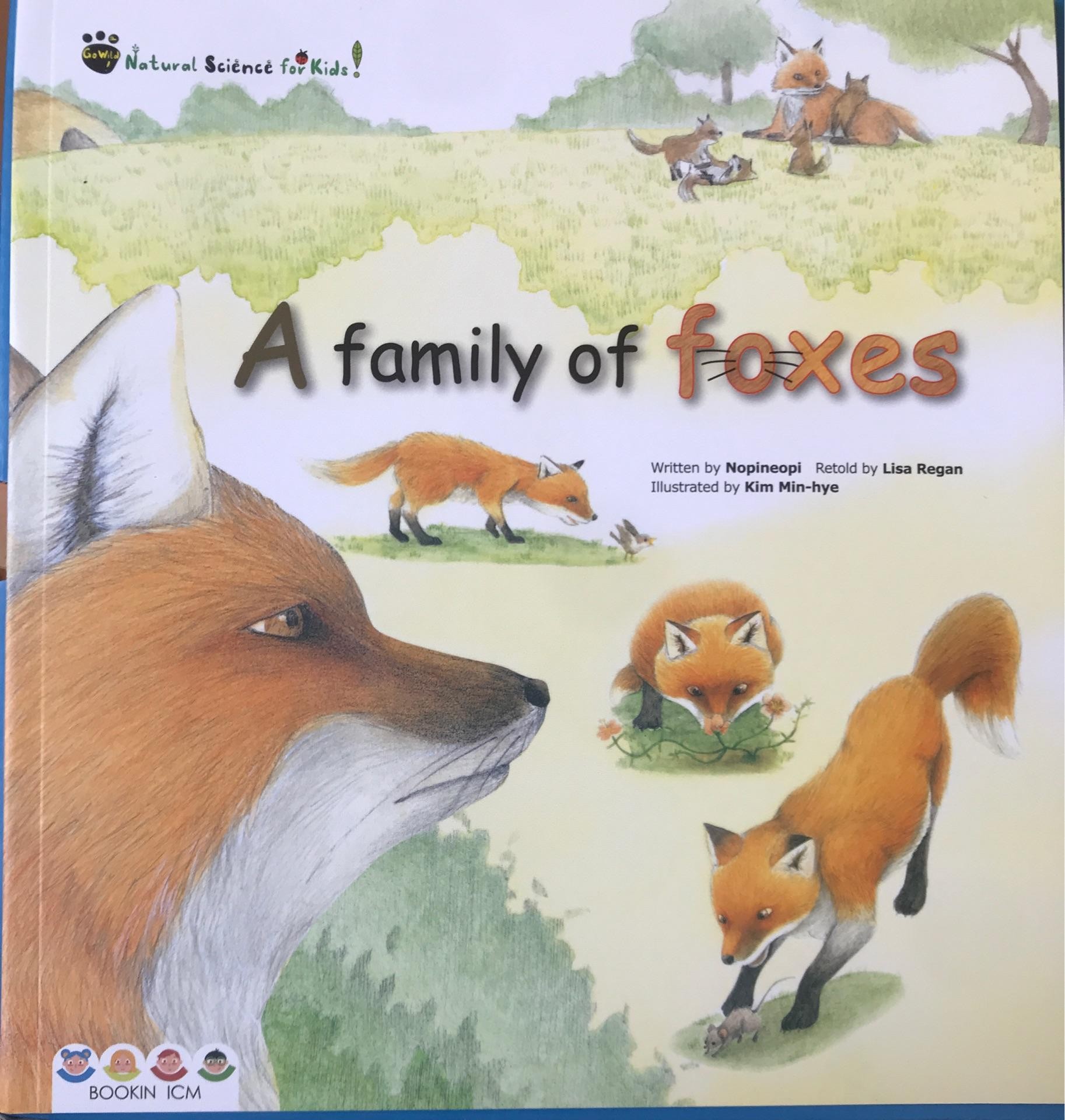 宾果儿童自然科学第三辑 Go wild：A family of foxes