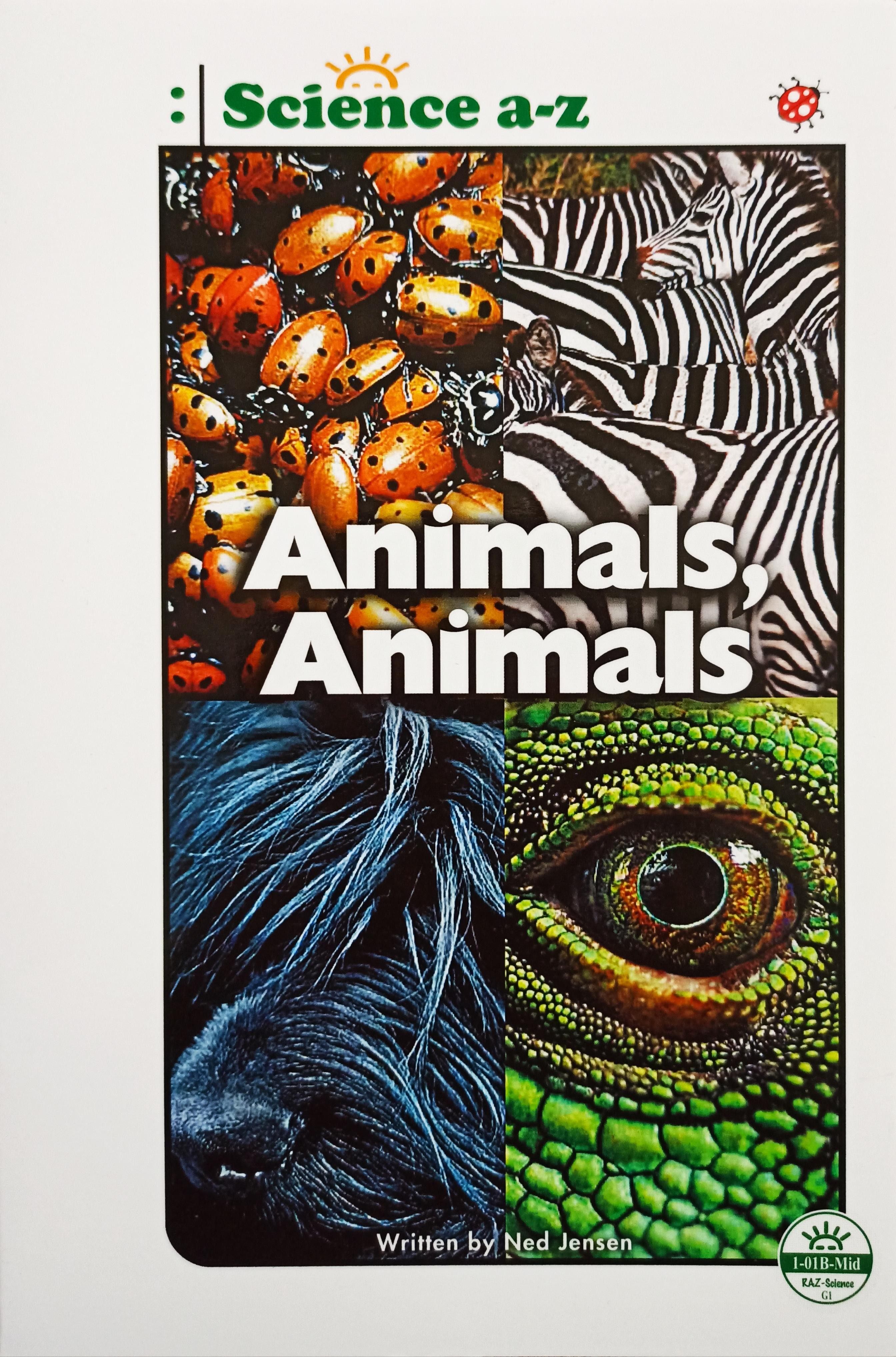 Saz 02 Animals, Animals G1 mid