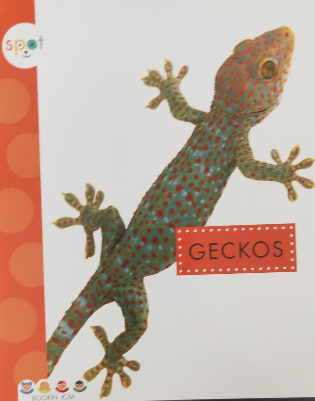 GECKOS