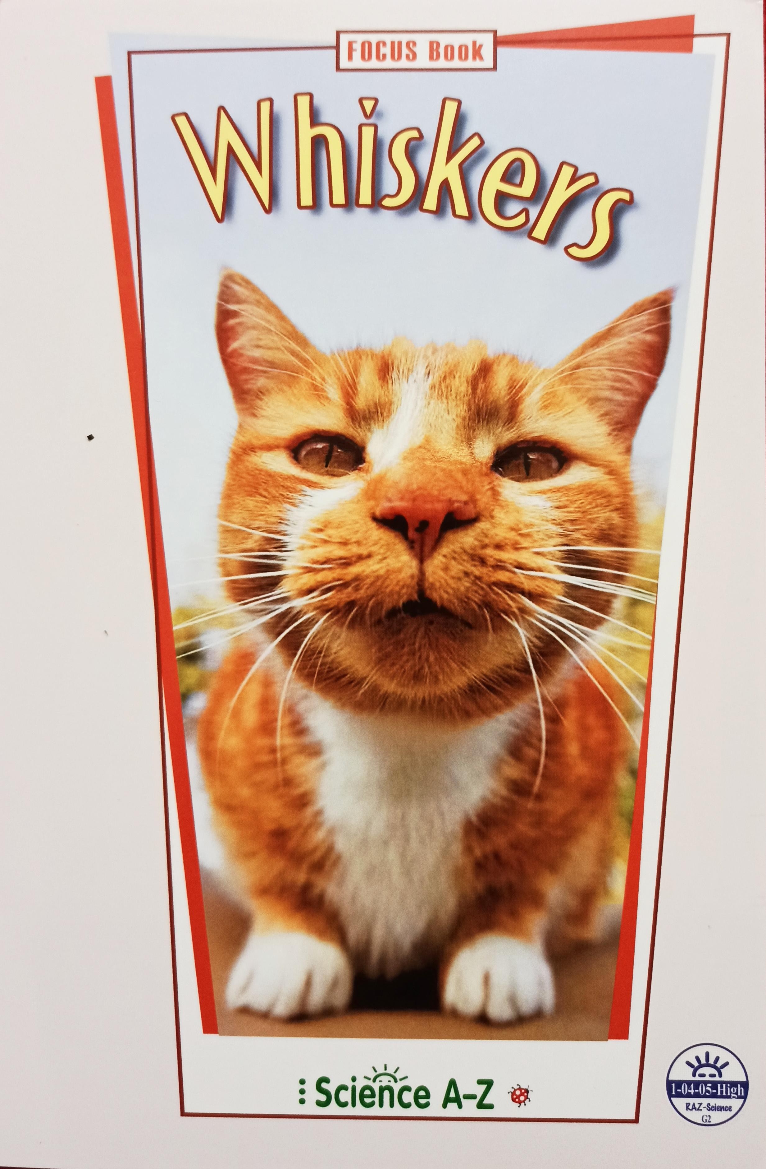 Saz 32 Whiskers G2 high