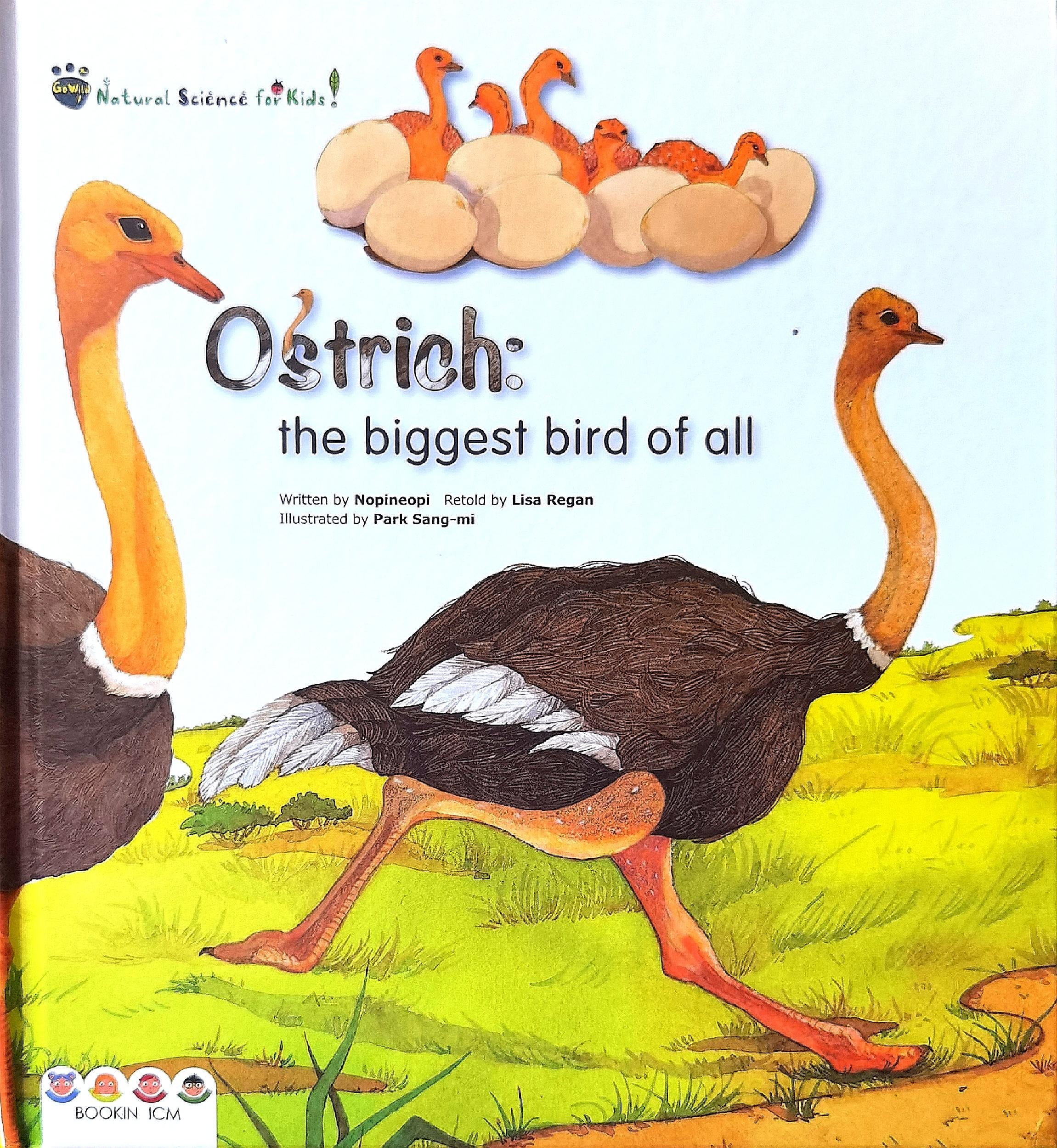 Ostrich:the biggest bird of all