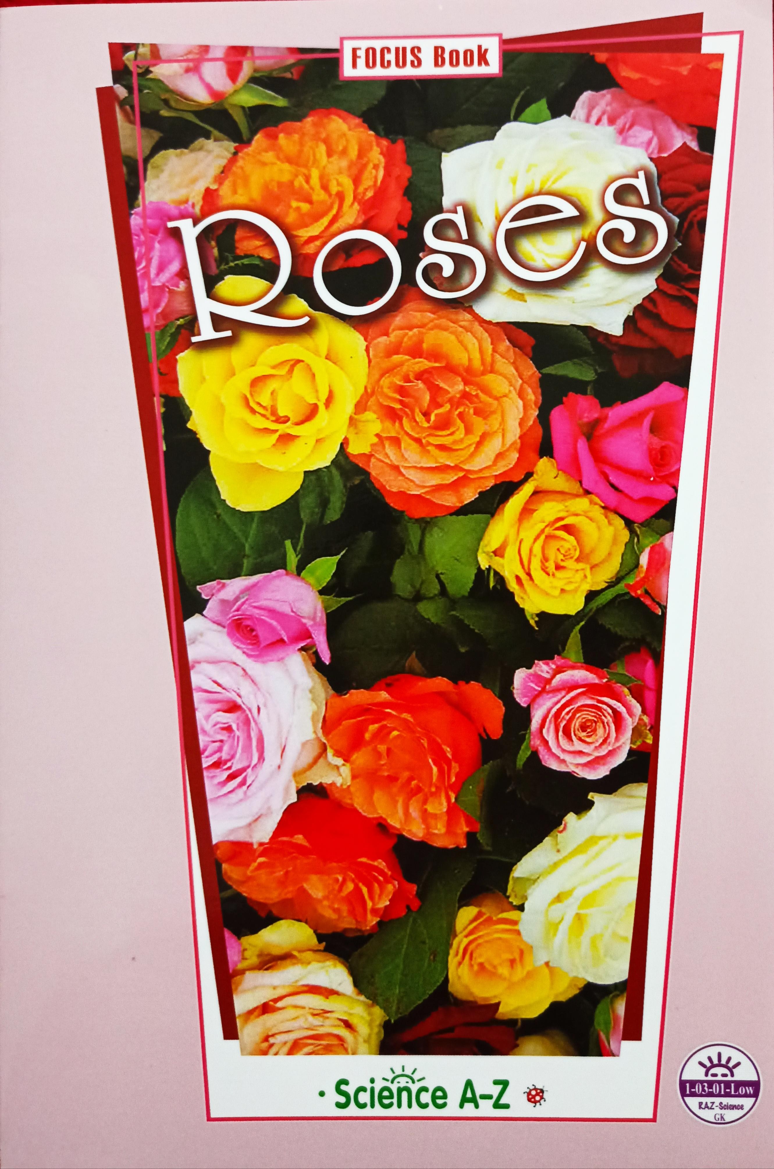Saz 20 Roses GK low
