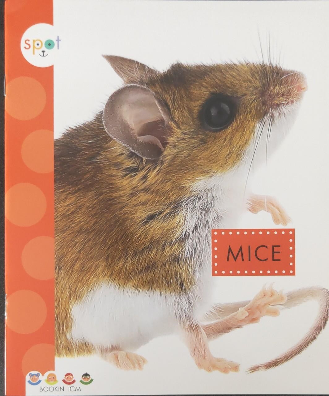 MICE
