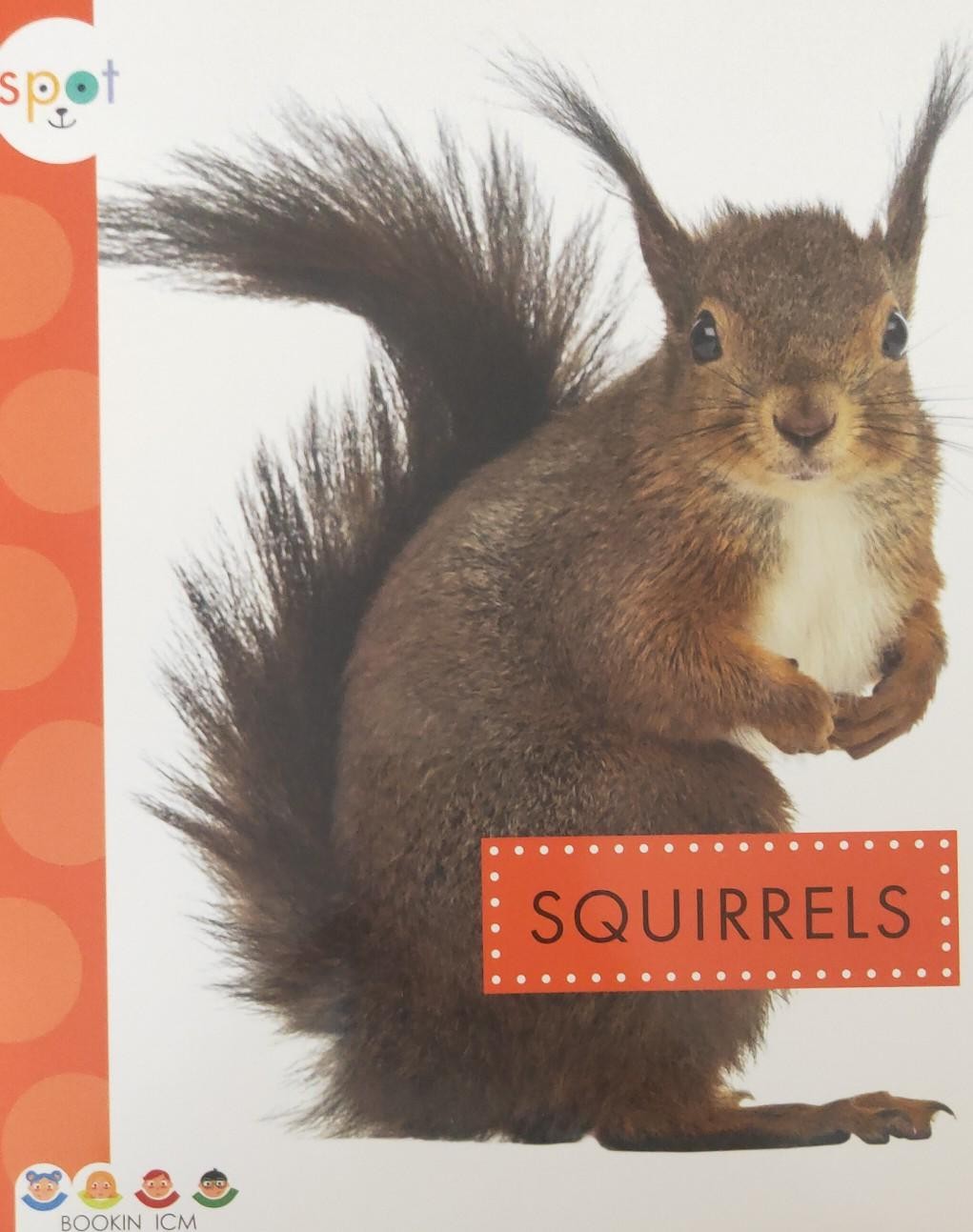 SQUIRRELS