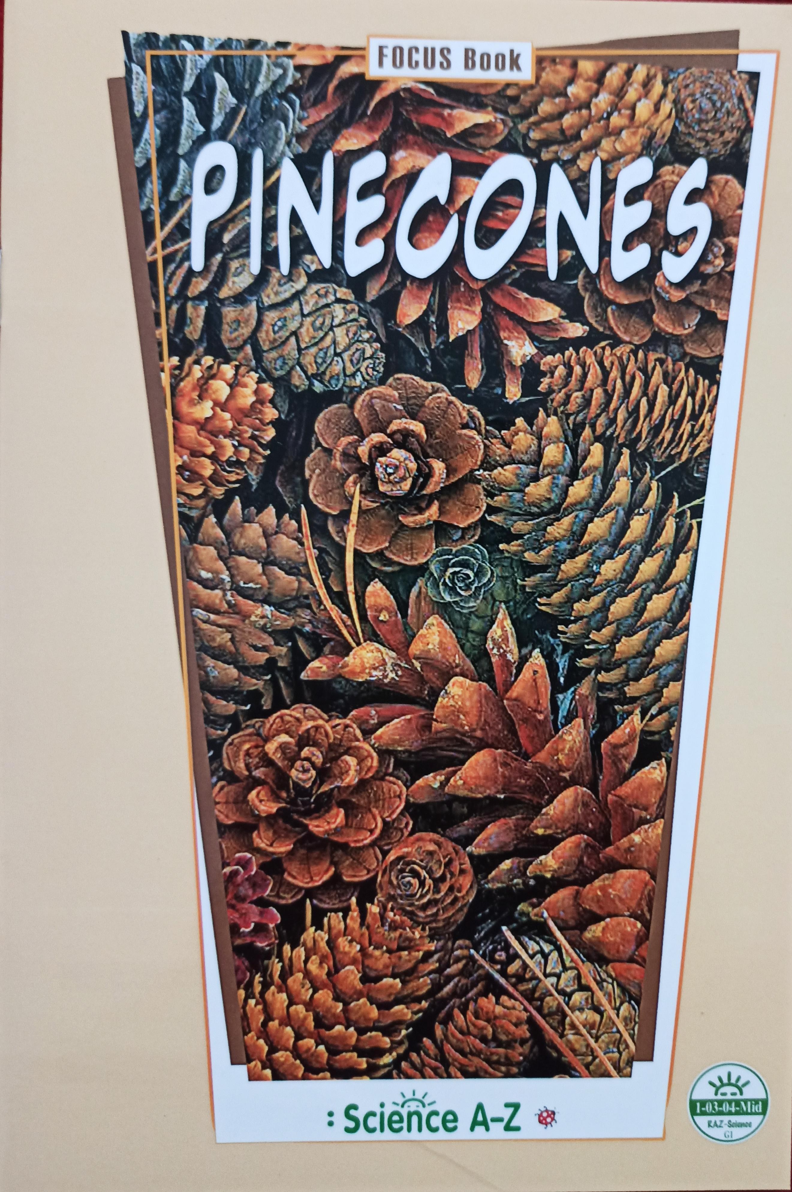 Saz 23 PINECONES G1 mid