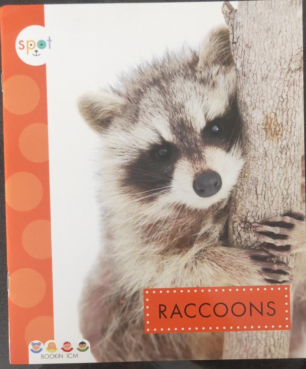 RACCOONS