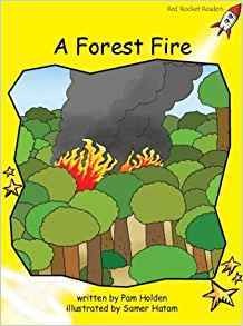 a   forest  fire