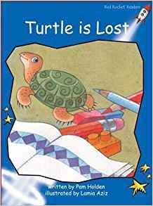 turtle   is    lost