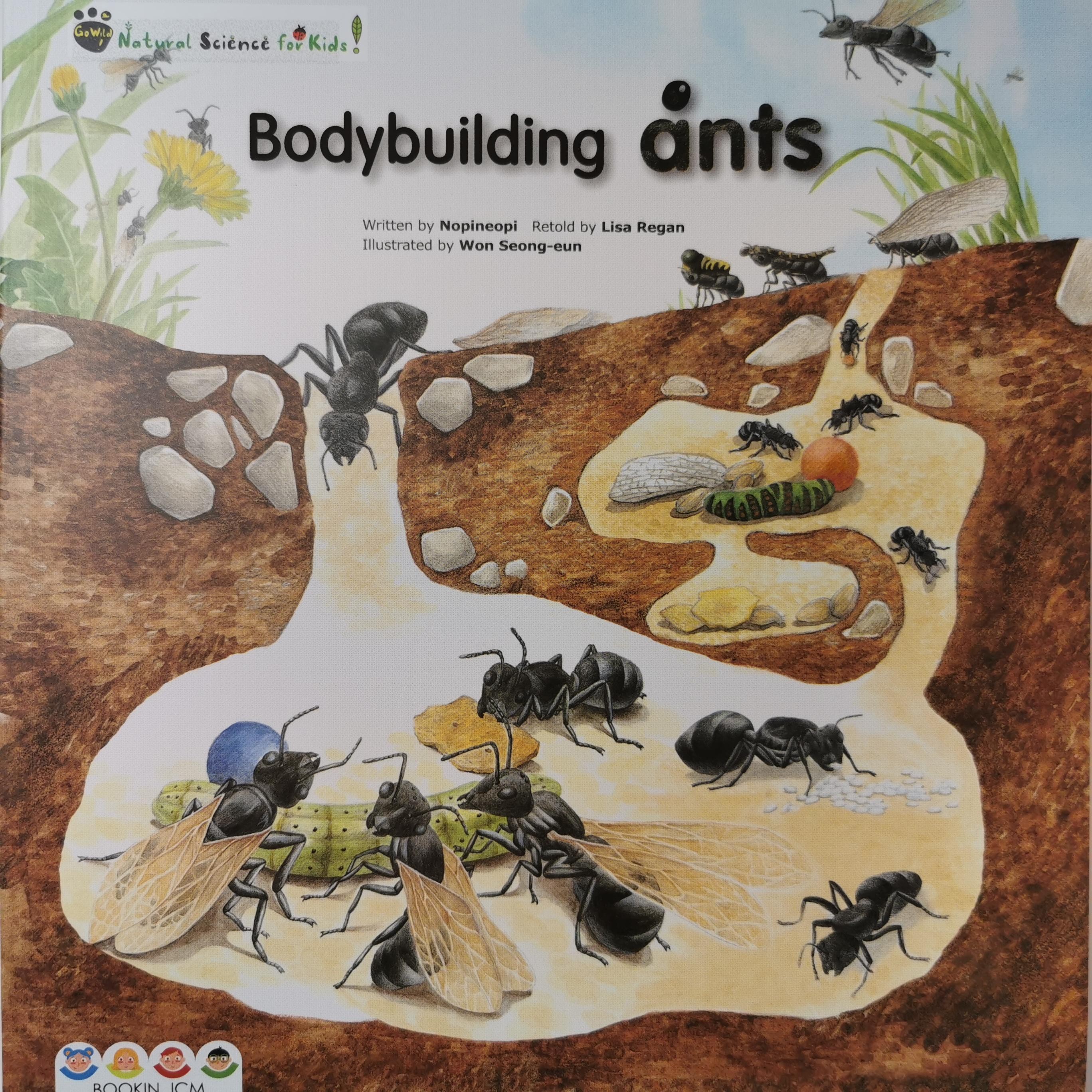 宾果儿童自然科学第一辑 Go wild：Bodybuilding ants