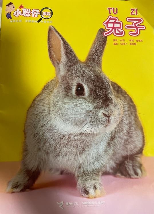 小聪仔科普版2021.10 兔子