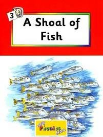 A Shoal of Fish
