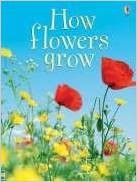 How Flowers Grow