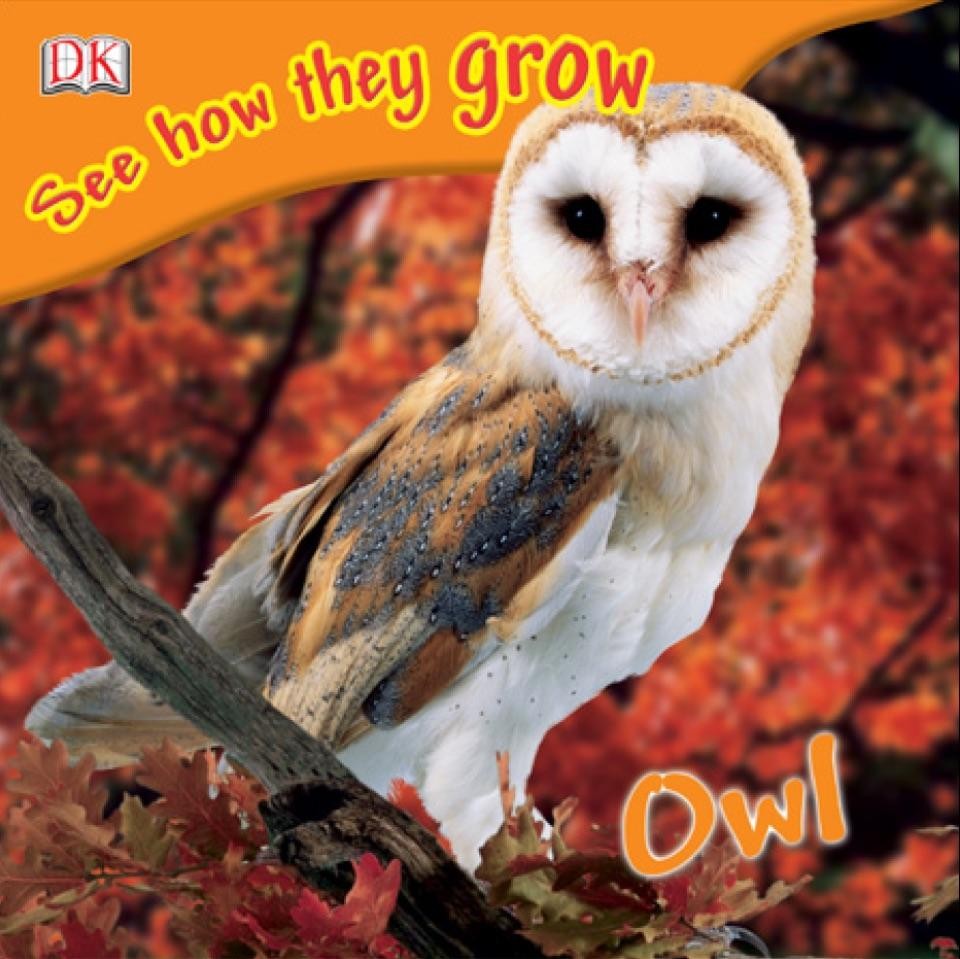 See How They Grow: Owl