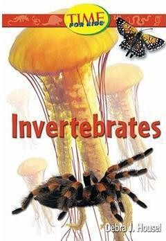 Invertebrates
