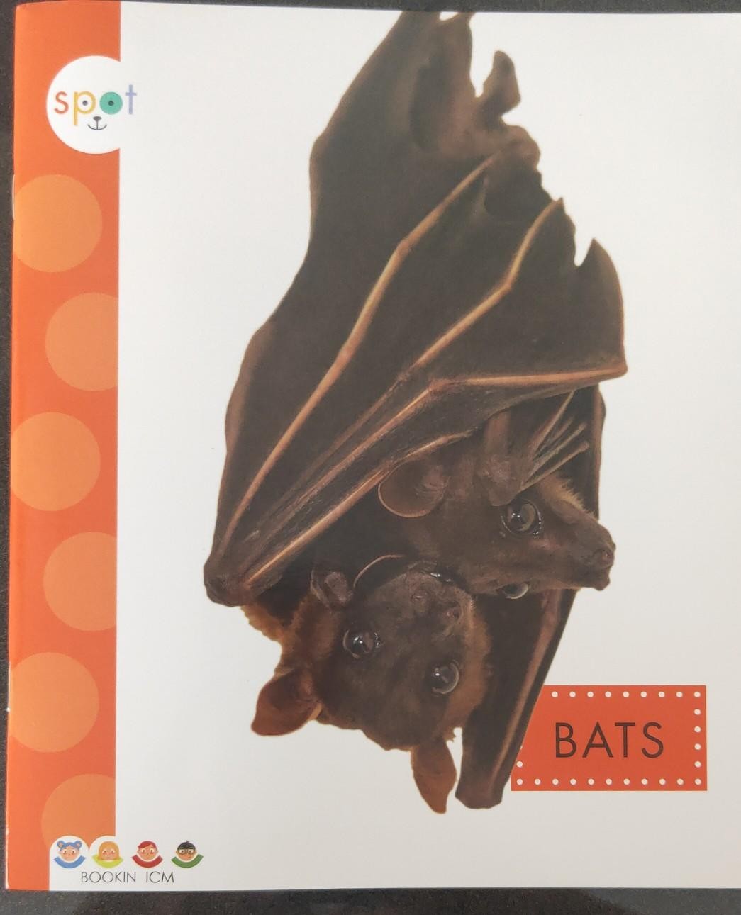 BATS