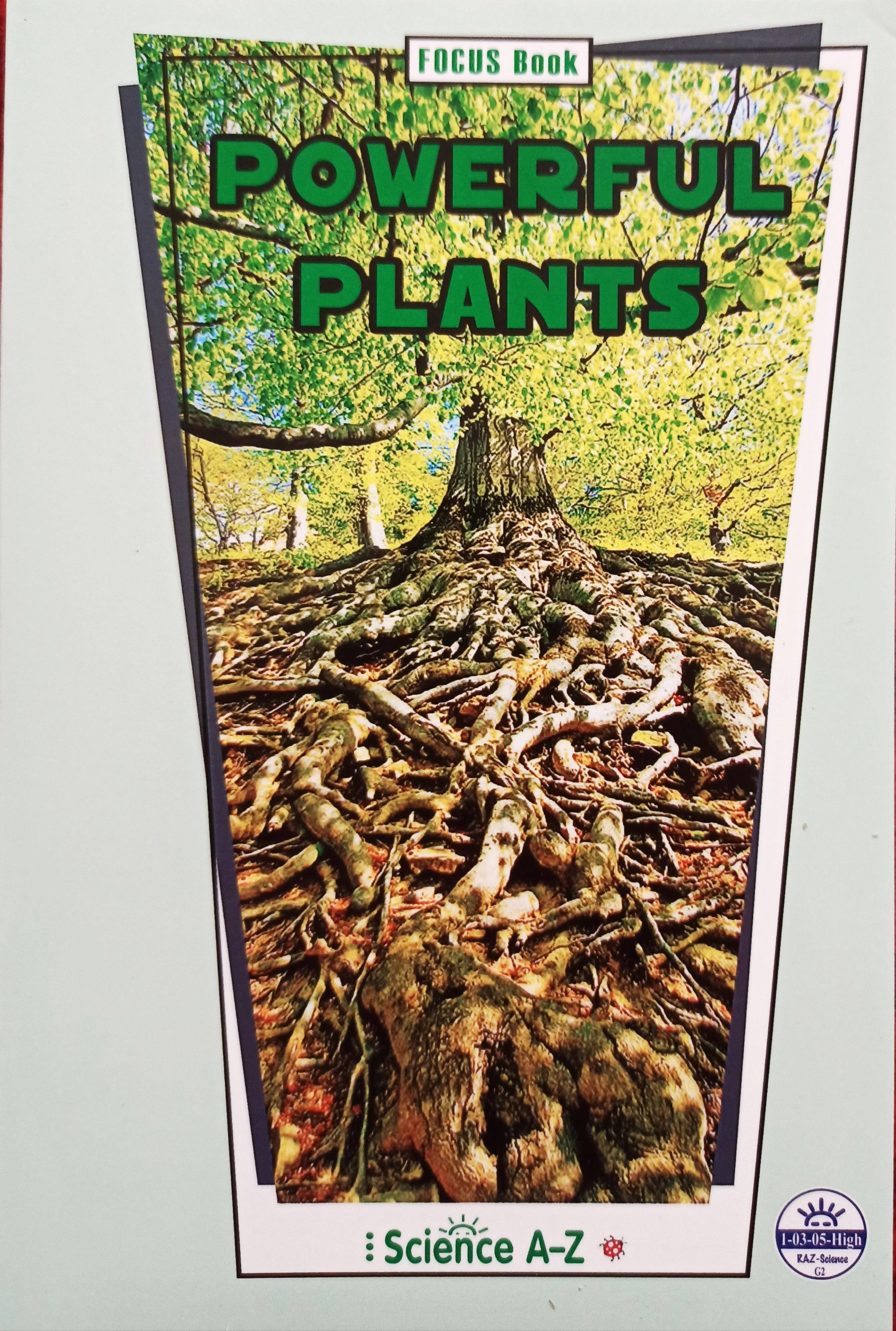 Saz 24 POWERFUL PLANTS G2 high