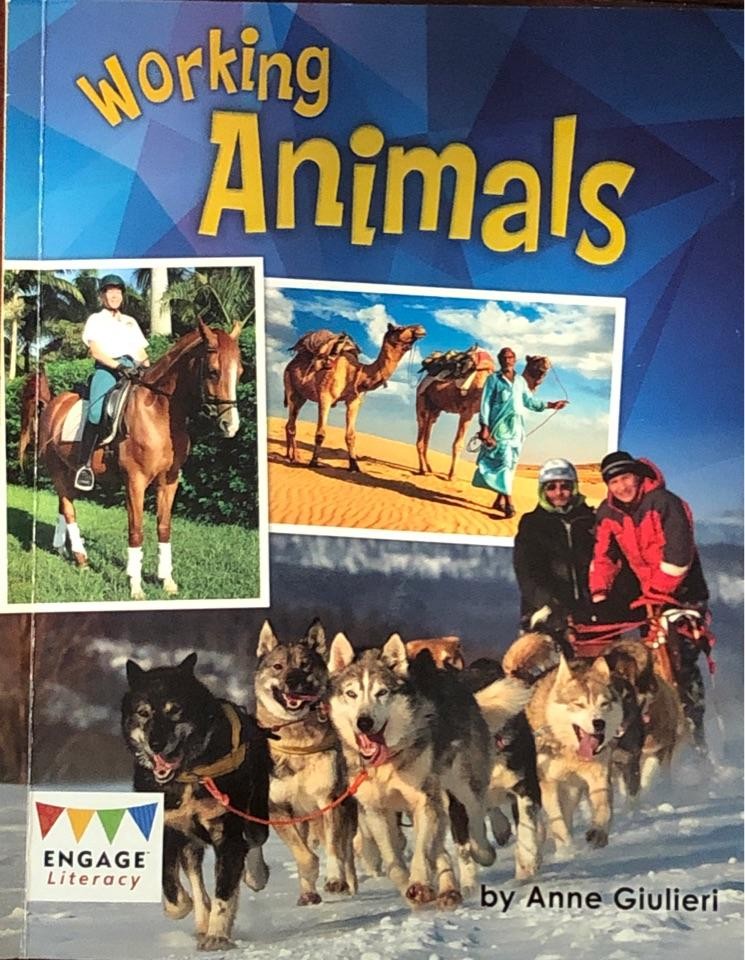 working   animals