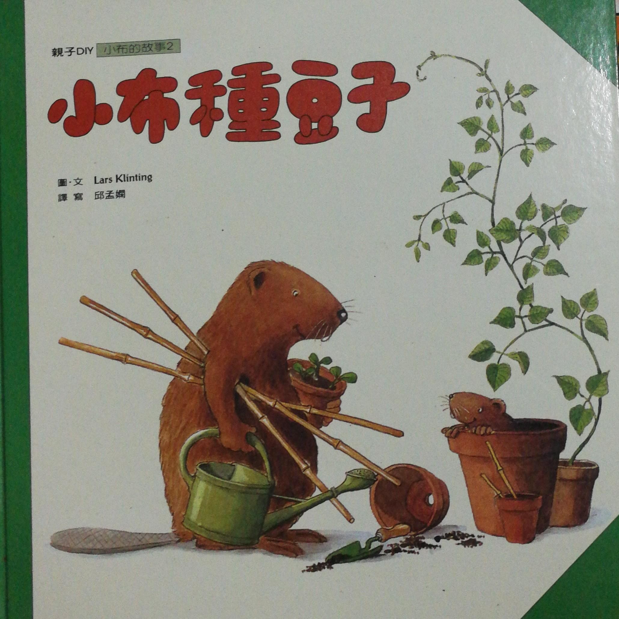 小布種豆子